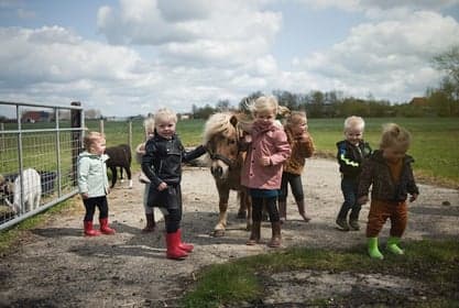 Kinderopvang De lytse haskes 2