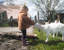 Kinderopvang De lytse haskes foto 4