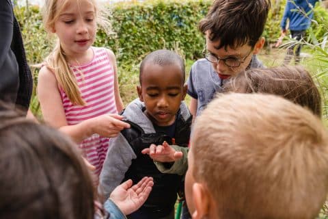 Wiedewei De Gornet foto 4