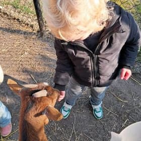 BSO Het Woelige Nest foto 4