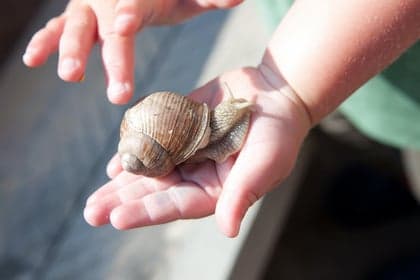 Peuteropvang Op Stap foto 4