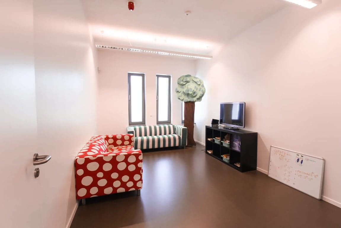 BSO De Sprankel foto 5