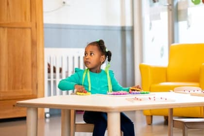 Speelboerderij foto 4