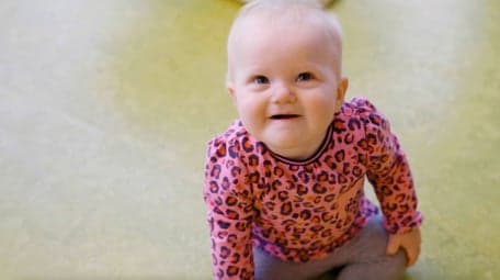 De Kleine Beer foto 10