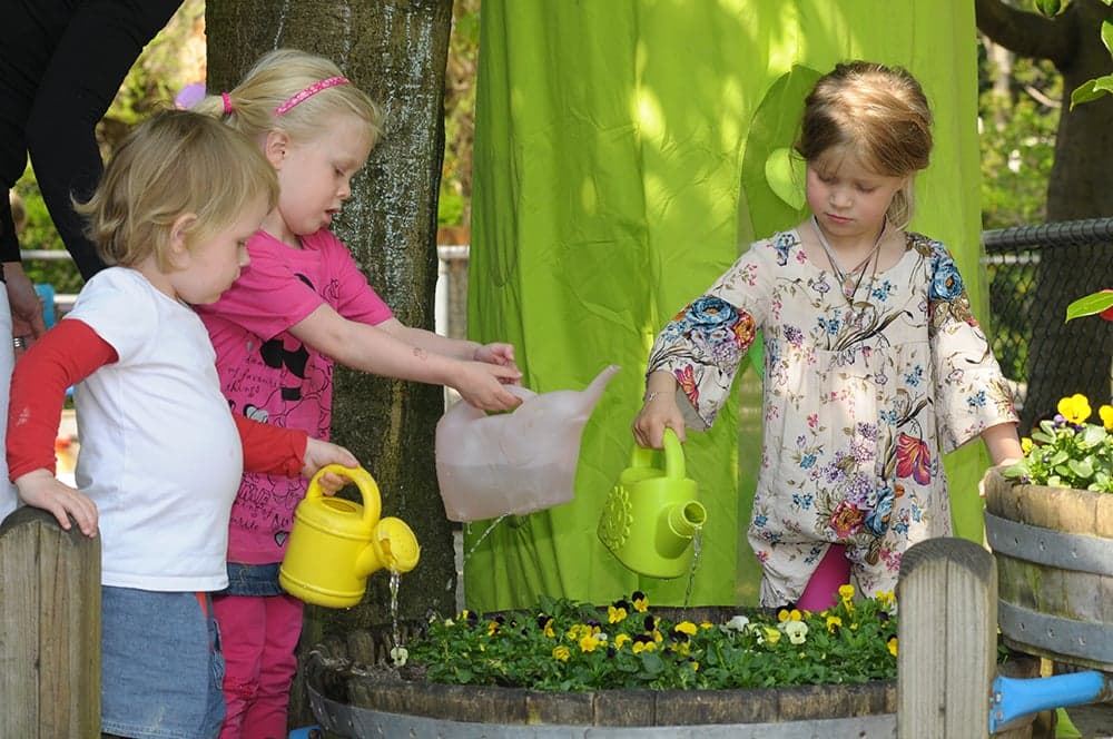 Kinderdagverblijf De Paddestoel