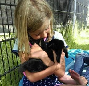 KDV Hallum De Parachute foto 9