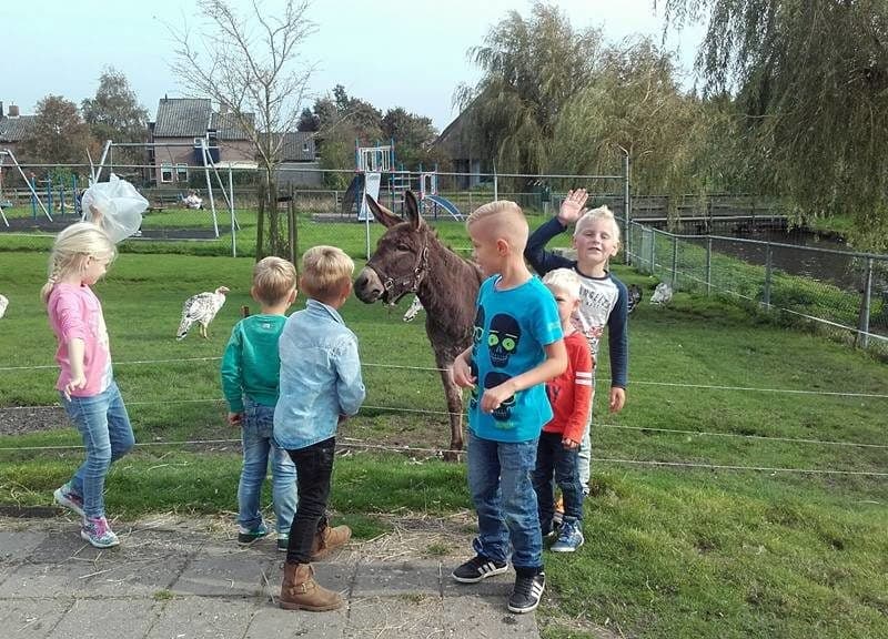 KDV Hallum De Parachute foto 10