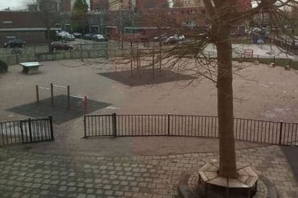 De Kleine Prins Prinsenland foto 7