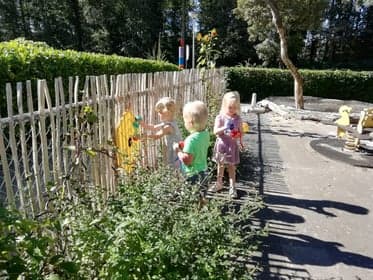 Klein Duimpje foto 6