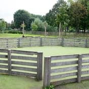 BSO Wonderwijs foto 6