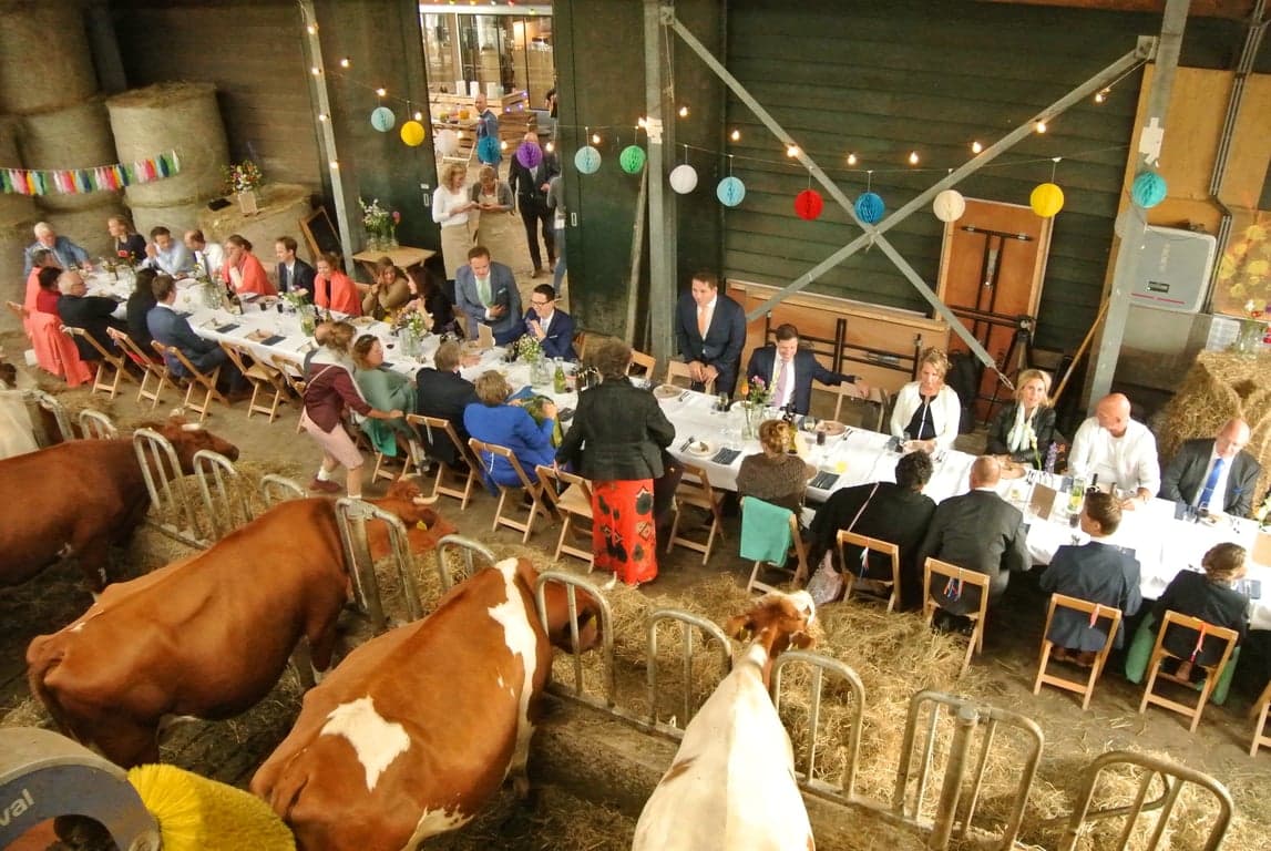 De Boerderij 3