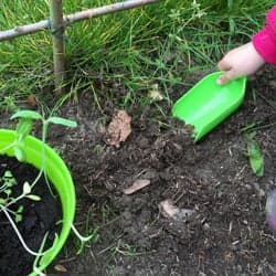 Het Vlindertje foto 5