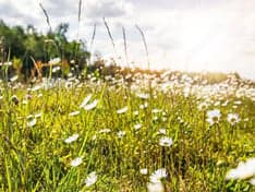 Basker - Banckertlaan 3