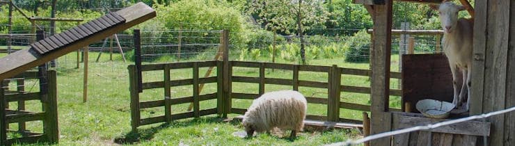 Kinderhuis Maminka foto 5