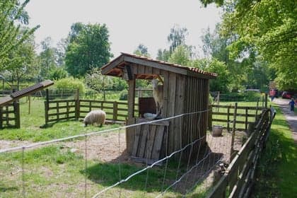 Kinderhuis Maminka foto 8