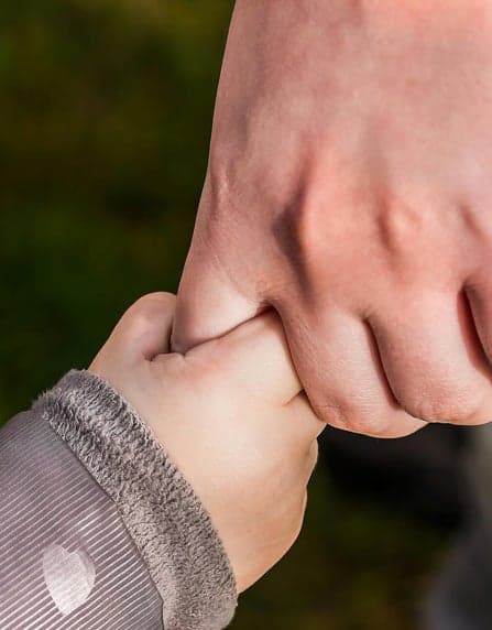 De Vrije Vogeltjes foto 9