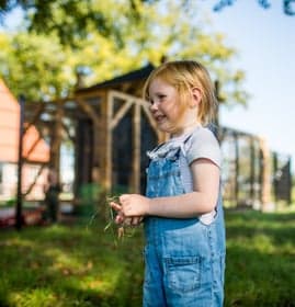 Kinderopvang Boerderij De Bongerd foto 6