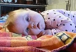 Het Vlinderhofje foto 9