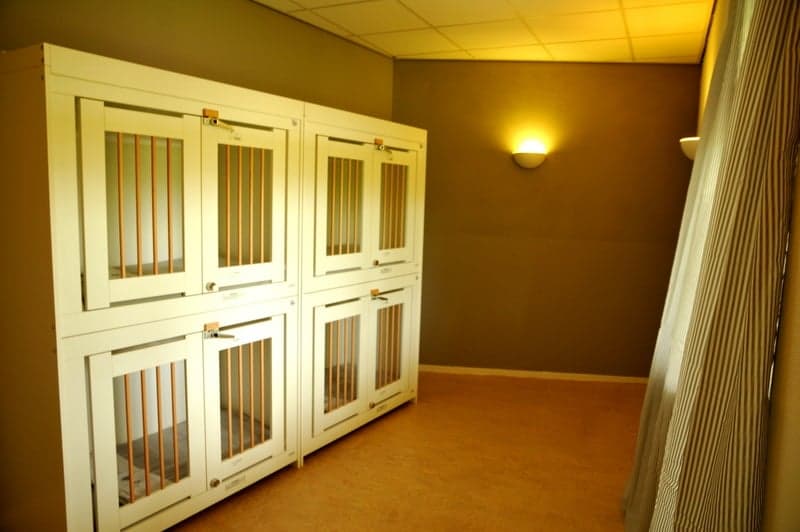 Babba kinderopvang foto 6