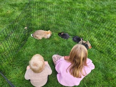 Kinderopvang &Vriendjes B.V. 2