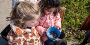 BSO De Vlieger foto 5