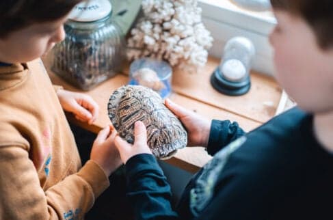 Bij ZON! Thuis foto 5