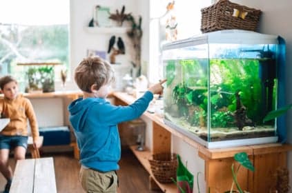 Bij ZON! Thuis foto 10