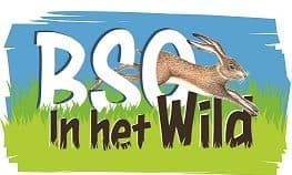 BSO in het Wild 2