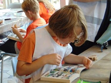 BSO Het Eendennest foto 9