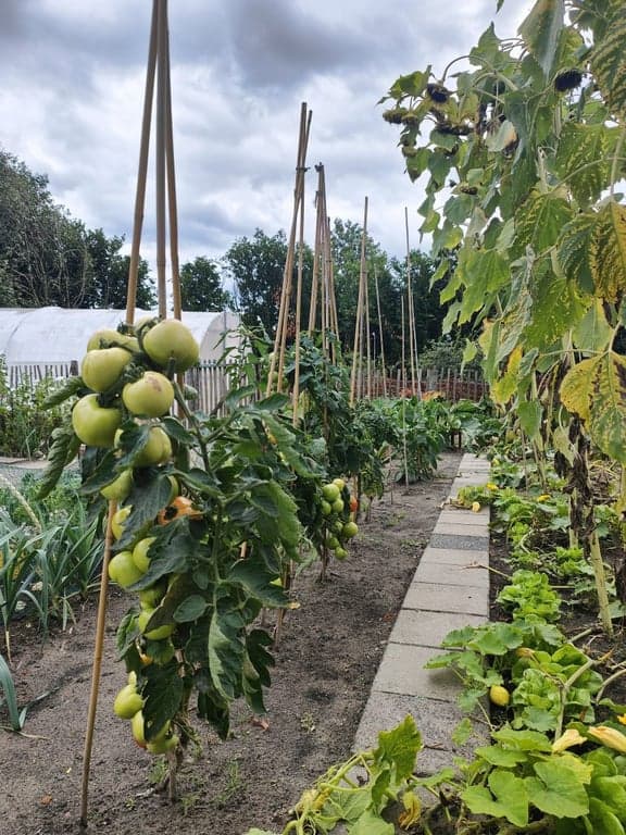 de Avonturier foto 9