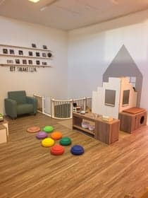 Wasko Leeuwerikje KDV