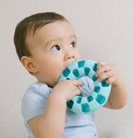 Prokino Jelletje KDV 2