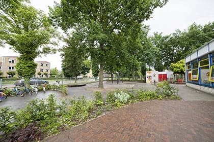 De Klimkanjers foto 10