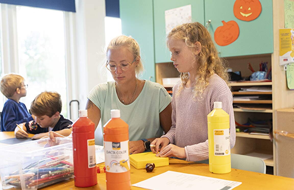 BSO Schaapshonk foto 4