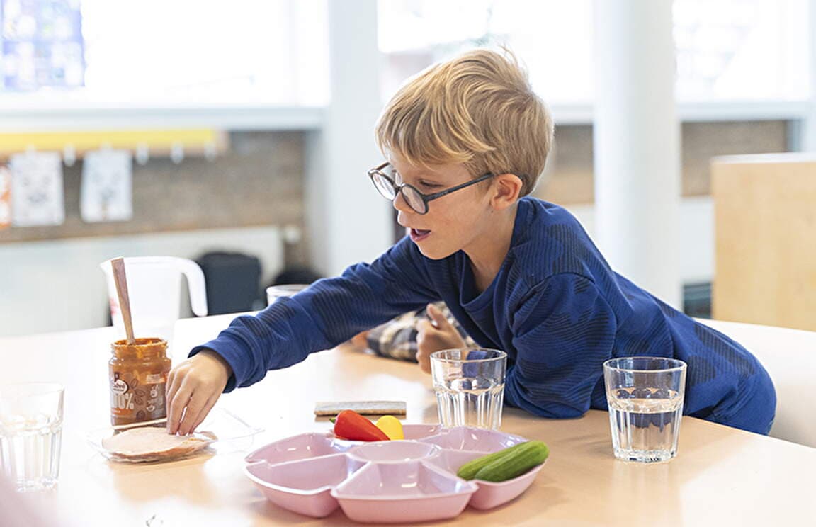 BSO Schaapshonk foto 6