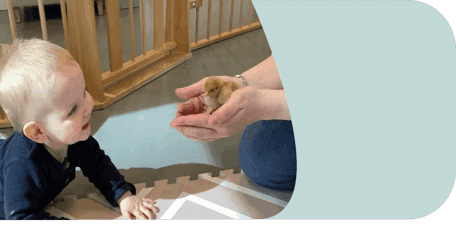 KC De Boomhut Ter Aar 3