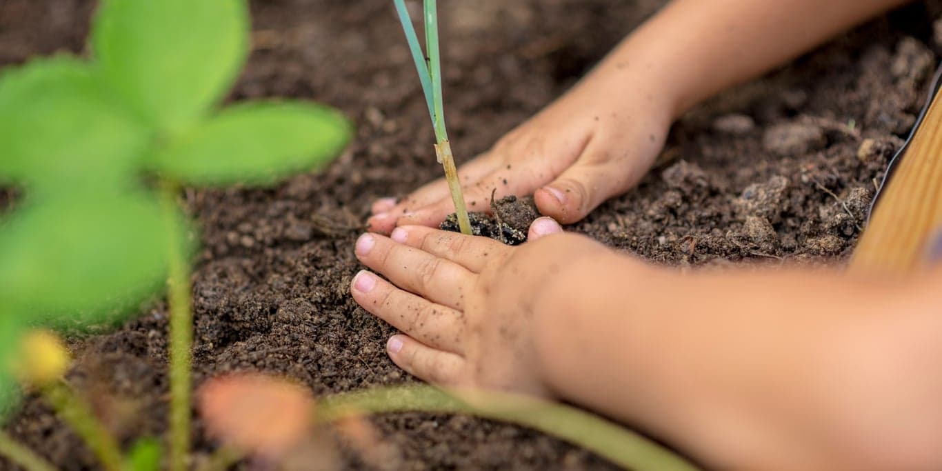 Norlandia BSO De Kleine Wildernis foto 5