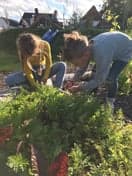 Kinderopvang Joepie de Poepie 3