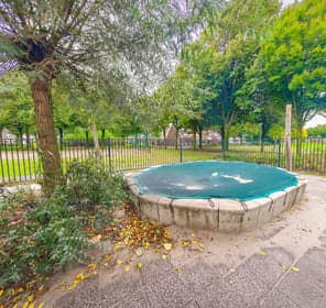 Groene Wereld foto 10