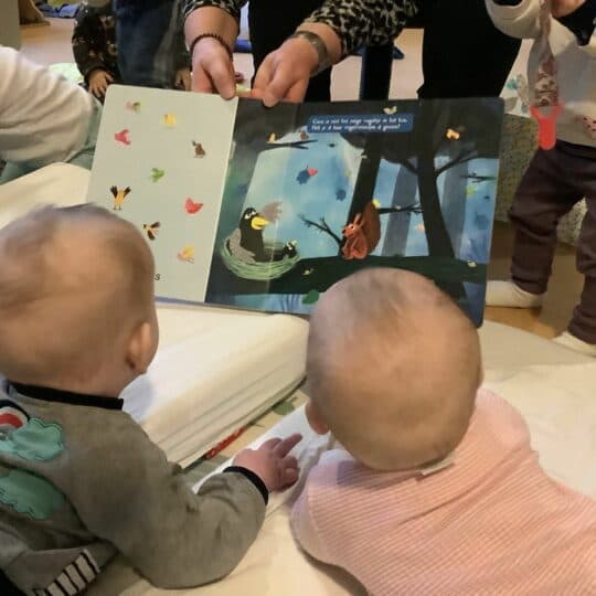 KDV De Vogeltuin foto 5