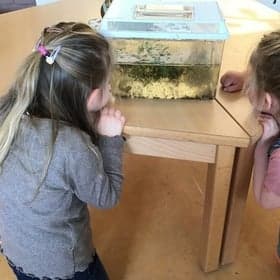 KDV De Vogeltuin foto 7