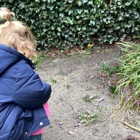 KDV De Vogeltuin foto 10