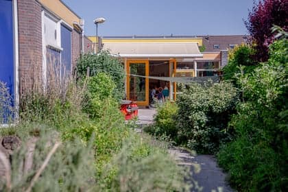 KDV JIPPIE Frankenthaler 2