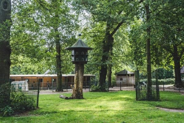 KDV Partou Camplaan 40 foto 6