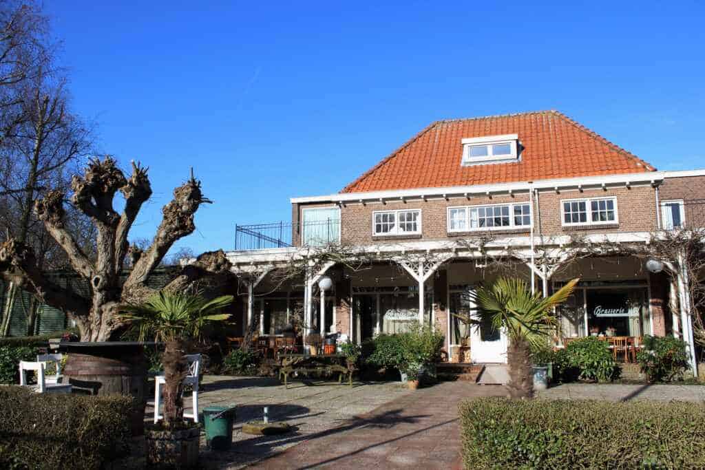 Club Basker International - The Oaks 3