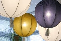 De Kleine Wereld Boomsspijker foto 6