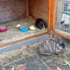 BSO de Koele Kikkers foto 8