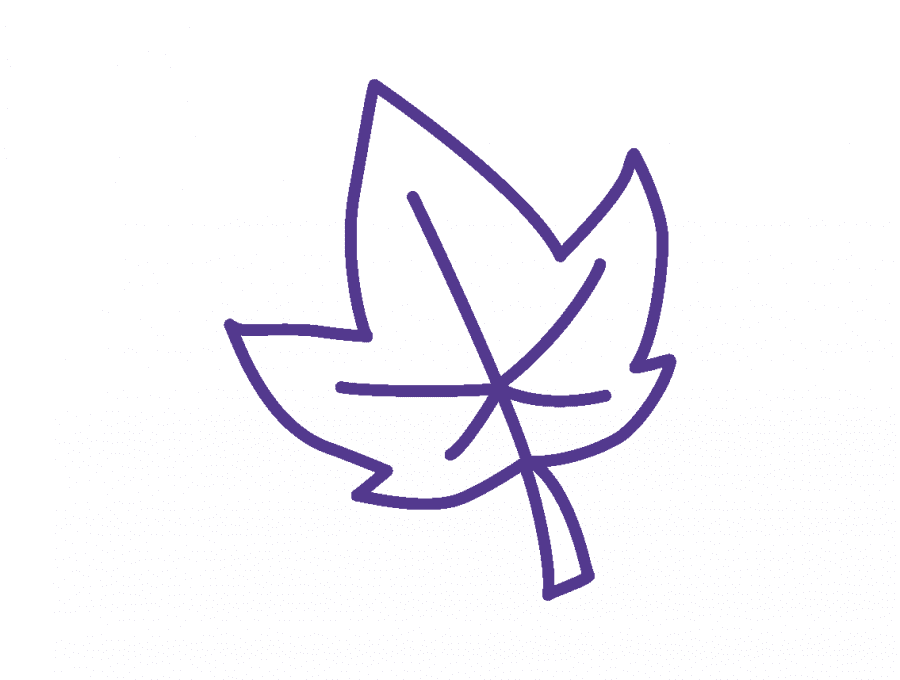 SKSG Regenboog foto 6