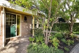 Catootje B.V. foto 8