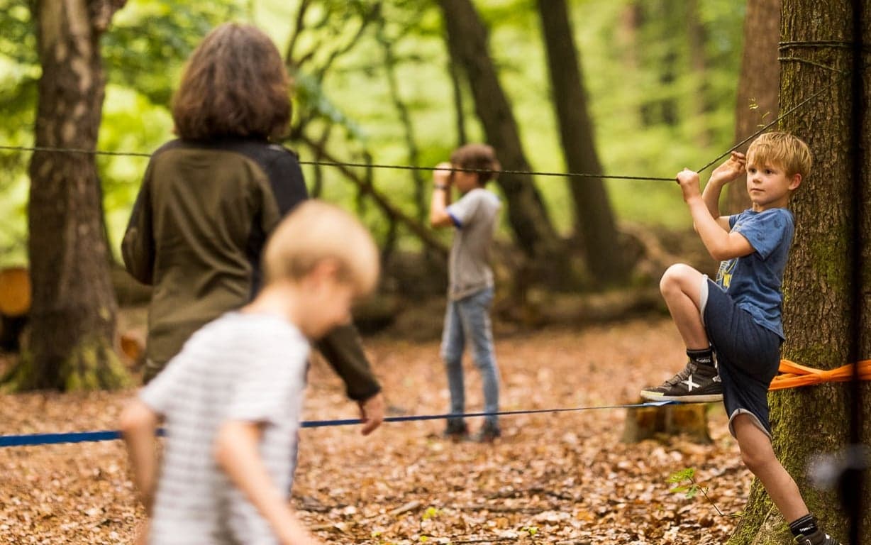 Bos BSO Doorn foto 6